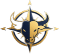 Taurus Vehicle Tracking
